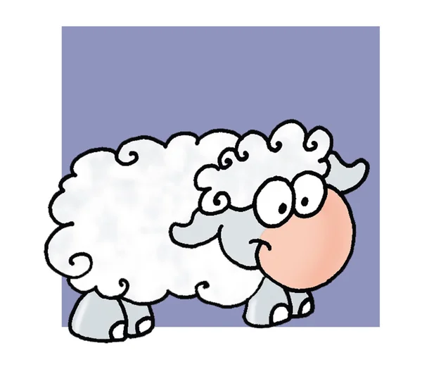 Botón con oveja con fondo bajo — Foto de Stock