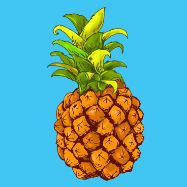 ananas streç tatlı meyve Güney Amerika hamuru kaplı kahverengi kabuklu meyve, tropikal, yolu, sarı renk serigrafi