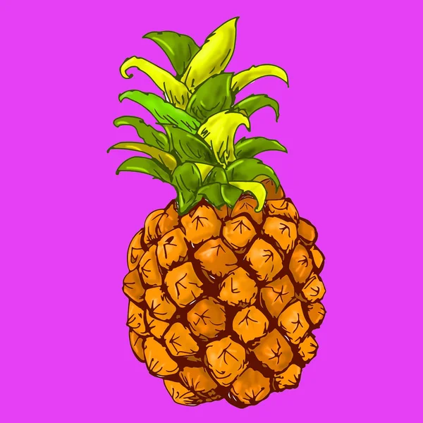 Pineapple to stretch sweet fruit of South America the pulp of yellow color, covered with a brown rind fruit, tropical, tract, screen printing — Stock Photo, Image