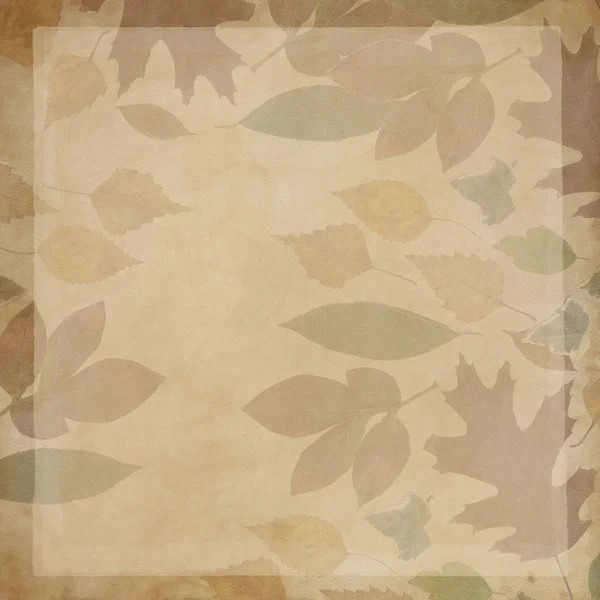 Background with leaves,vintage — Stock Photo, Image