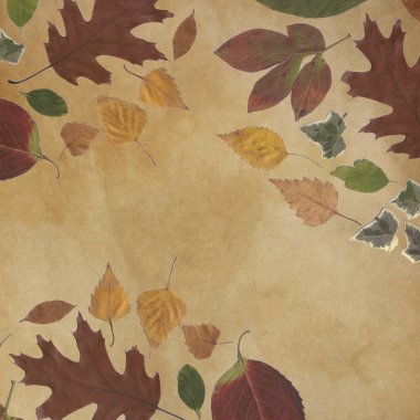  arka plan ile yaprakları, vintage