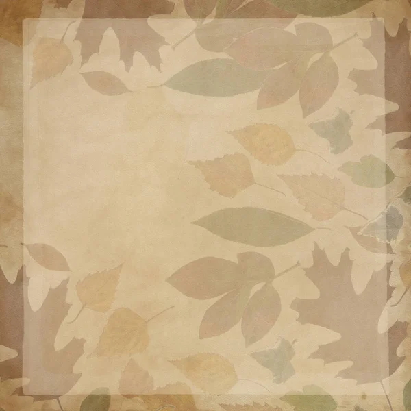 Background with leaves,vintage — Stock Photo, Image