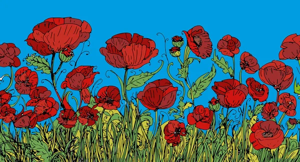 Veld van rode papaver bloemen — Stockfoto