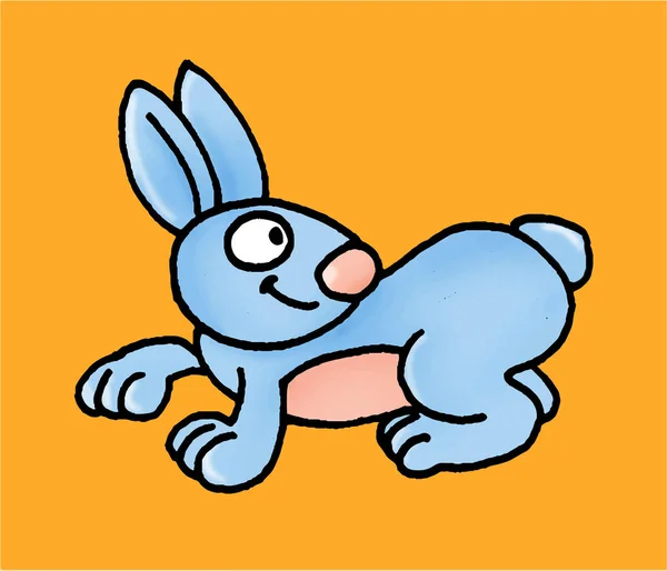 Ein blaues Kaninchen — Stockfoto