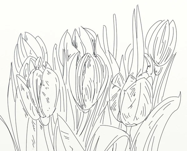 Kresby Květin Listy — Stock fotografie