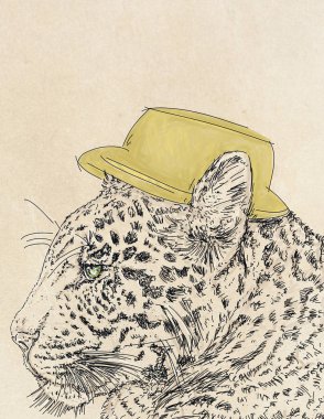 bir kaplan bir kap ile