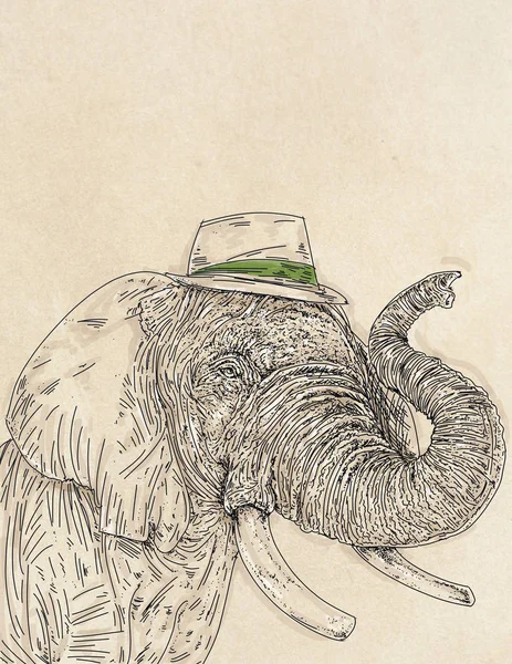 Elefante Con Sombrero Animal Realista Humanizado Vestido Con Sombrero — Foto de Stock