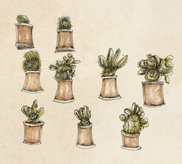 Ботанічна Ілюстрація Квітами Листям Квіткова Прикраса — стокове фото