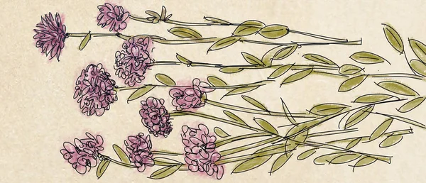 Botaniska Illustration Med Blommor Och Blad Blomdekor — Stockfoto