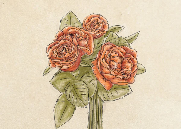 Три Красных Розы Ботаническая Иллюстрация Цветами Листьями Цветочные Украшения — стоковое фото
