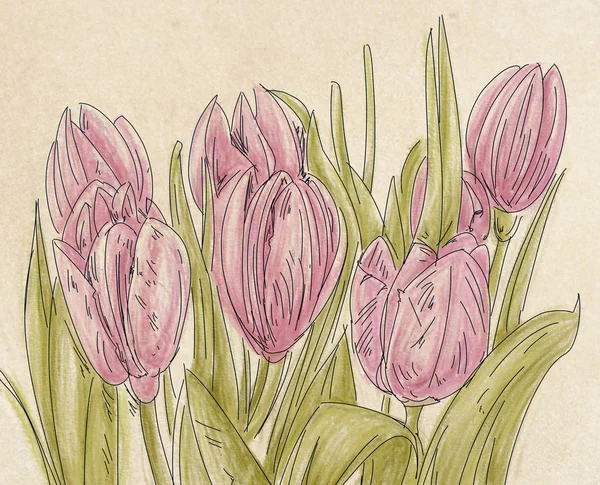 Fiori Lilla Illustrazione Botanica Con Fiori Foglie Decorazione Floreale — Foto Stock