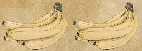 Banner Vorlagen Mit Einem Bündel Bananen Design Jahrgang — Stockfoto
