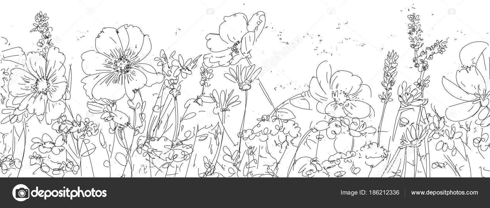 Drawing Field Flowers Stock Photo Image By C Silviagaudenzi