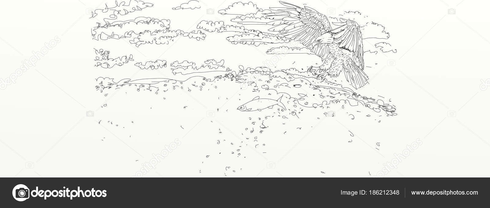 Drawing flying eagle stock photo