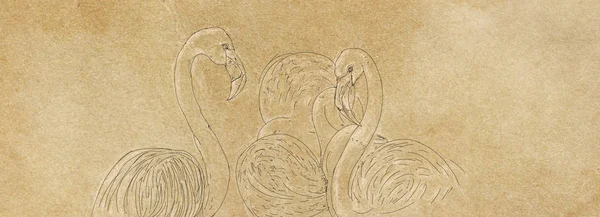 Рисунок Трех Фламинго — стоковое фото
