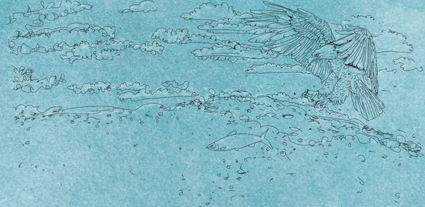 Малюнок Літаючого Орла — стокове фото