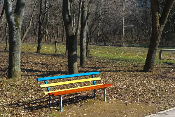 Banco vermelho, amarelo e azul colorido vibrante, meio-dia no parque florestal do tempo da mola — Fotografia de Stock