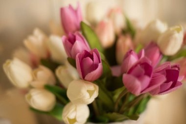 Beyaz ve mor laleler ile 8 Mart tarihleri arasında ağırlık veya Sevgililer günü. Buket yakın çekim var. Bir buket çiçek anneler günü için