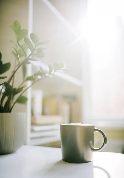 Bir fincan kahve bir saksının yanındaki masanın üzerinde duruyor ve sabah penceresinde bir bitki var. Dikey fotoğraf