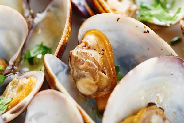 Buğulanmış midye yakın çekim