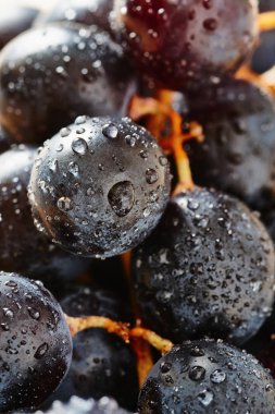 Kırmızı üzüm demet Close-Up