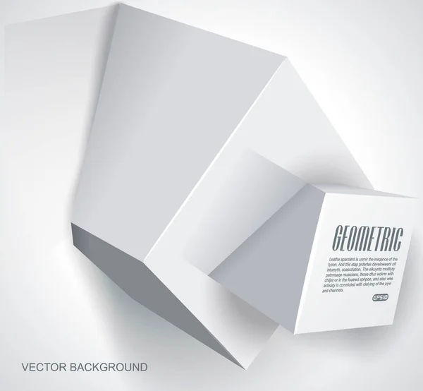 Cubos blancos con información de texto . — Archivo Imágenes Vectoriales