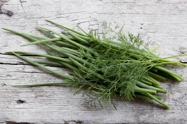 Bund frischer Dill und Bogenfeder — Stockfoto