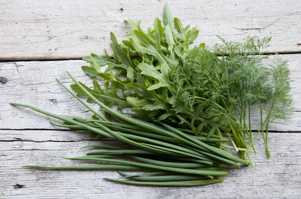 Bund frische Zwiebeln, Rucola und Dill — Stockfoto