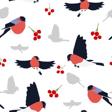 sorunsuz bullfinches ve çilek