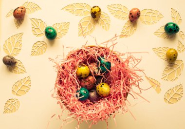 Paskalya renk bıldırcın yumurtası beyaz bir arka plan üzerinde