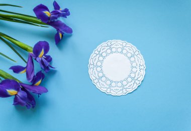 hediye beyaz peçete ve mavi arka plan üzerinde üç süsen