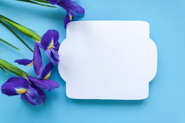 Vintage çerçeve ve irisler mavi zemin üzerine