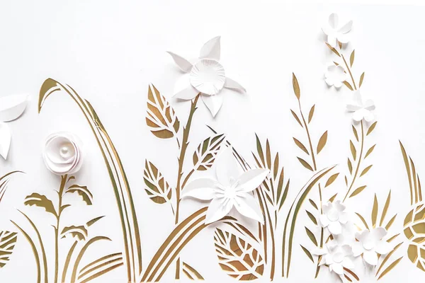 Summer flowering meadow. White flowers carved from paper on a white and gold background. — Stock Photo, Image