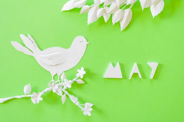 Pode. Ramo florescente, cortado de papel branco sobre um fundo verde — Fotografia de Stock