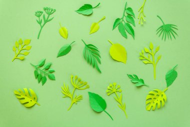 Trendy yaz tropikal yaprak