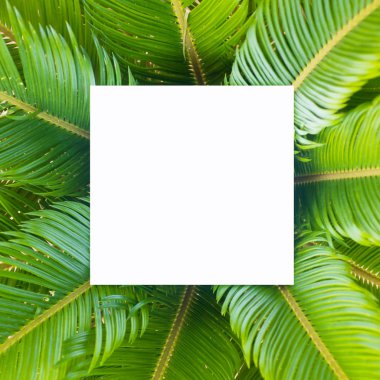 Çiçeklerden ve kağıt kart notlu yapraklardan oluşan yaratıcı bir düzen. Düz yatıyordu. Doğa konsepti