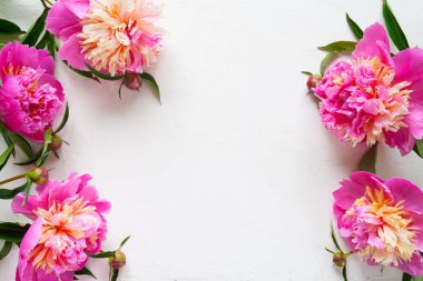 Beyaz arkaplanda pembe şakayıklar