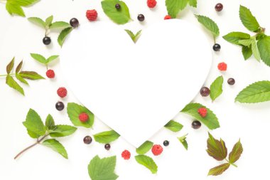 Taze nane yaprakları ve Kırmızı Ahududu ve siyah kompozisyonu