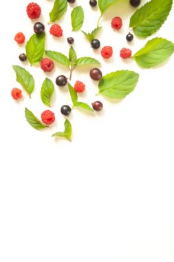 Taze nane yaprakları ve Kırmızı Ahududu ve blackcurrant kompozisyonu