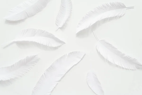 Las plumas de un pájaro de papel blanco sobre fondo blanco —  Fotos de Stock