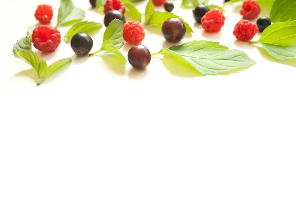 Composición con hojas de menta fresca y frambuesas rojas y negro — Foto de Stock