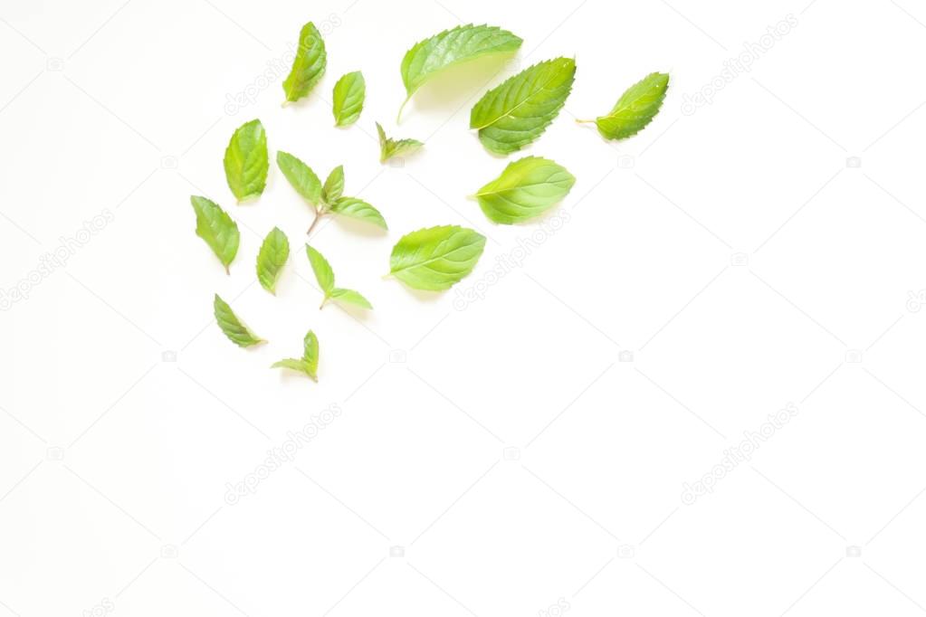 Composition with Fresh mint leaves