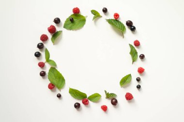 Taze nane yaprakları ve Kırmızı Ahududu ve siyah kompozisyonu