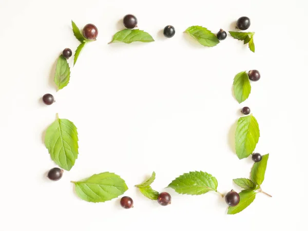 Composición con hojas de menta fresca y grosella negra — Foto de Stock