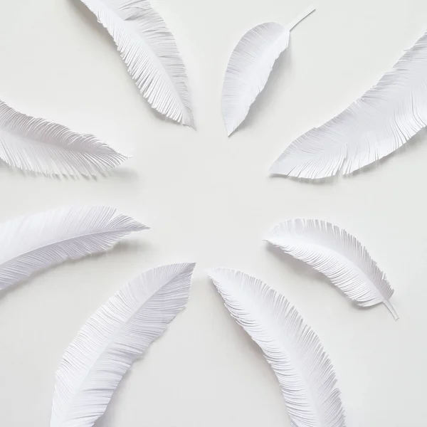 Las plumas de un pájaro de papel blanco sobre fondo blanco —  Fotos de Stock