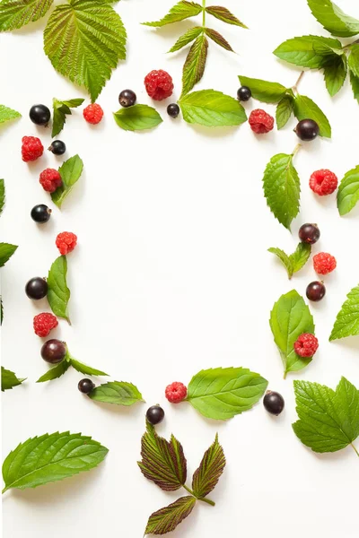 Taze nane yaprakları ve Kırmızı Ahududu ve siyah kompozisyonu