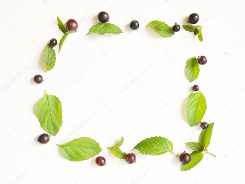 Composition with Fresh mint leaves and blackcurrant