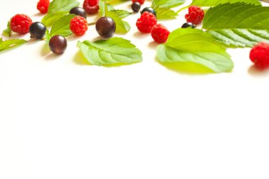 Taze nane yaprakları ve Kırmızı Ahududu ve siyah kompozisyonu