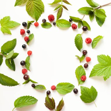 Taze nane yaprakları ve Kırmızı Ahududu ve siyah kompozisyonu