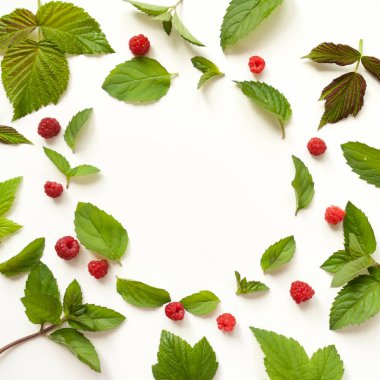 Taze nane yaprakları ve Kırmızı Ahududu kompozisyonu